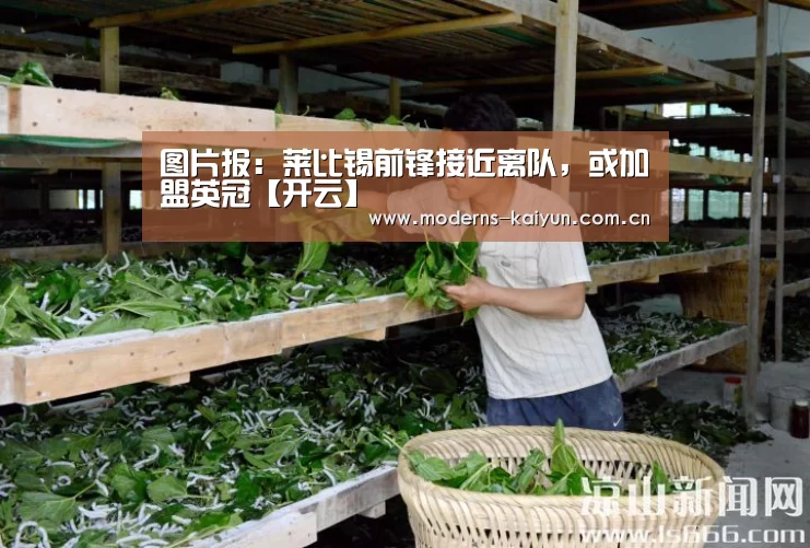 图片报:莱比锡前锋接近离队,或加盟英冠【开云】