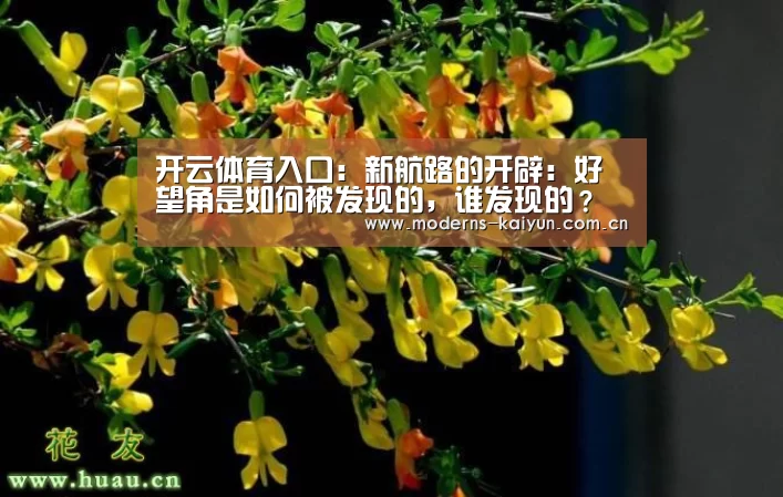 开云体育入口:新航路的开辟:好望角是如何被发现的,谁发现的?(图4) 开云体育入口